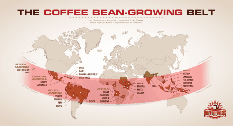coffee-bean-growing-belt