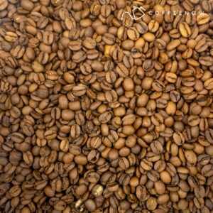 brazil cerrado medium roast coffee beans